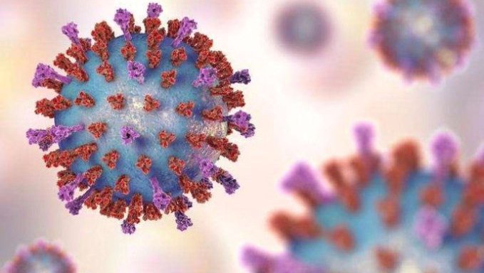Lee más sobre el artículo Coronavirus