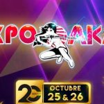 Expo Akai 2025 Puebla: La Convención Geek Imperdible del Año